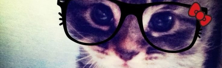 Girlfriend Party Discord Server Banner