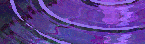 blossom Discord Server Banner