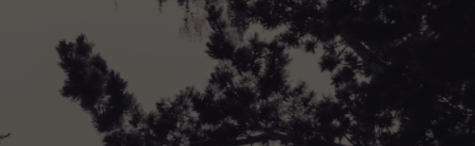 Prueba GG Discord Server Banner