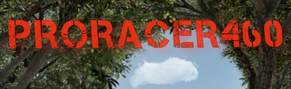 proracer460 racers Discord Server Banner