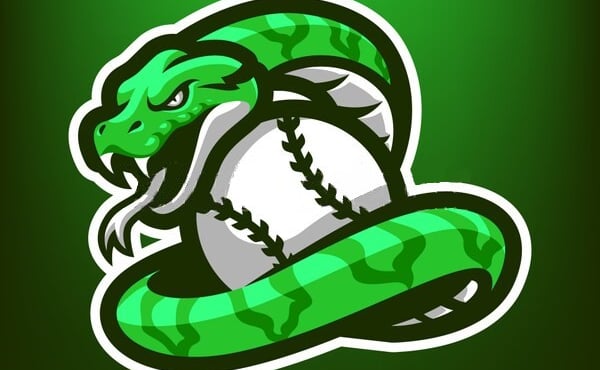 ViperGames Discord Server Banner