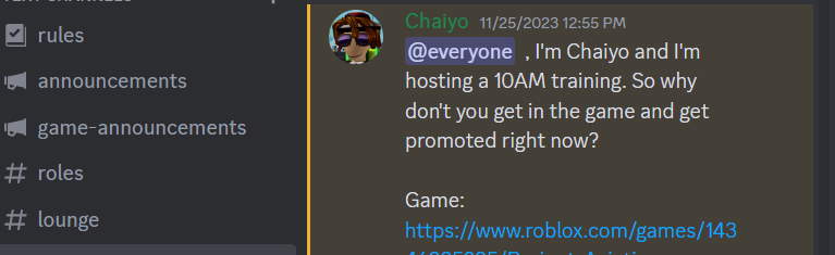 Project Aviation (Roblox) Discord Server Banner