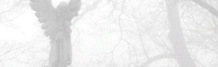 whiteseraphgarden Discord Server Banner