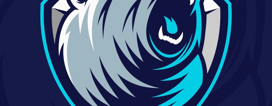 Mist Esports (RL Oceania) Discord Server Banner