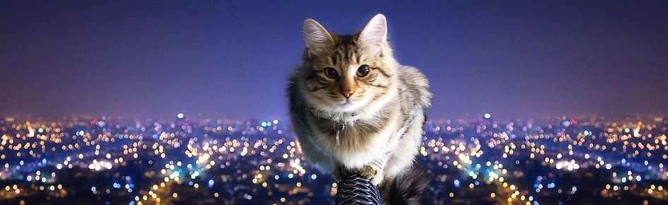 Panas Frescos Discord Server Banner