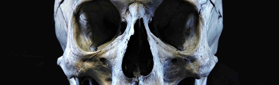 Delta Zombie Apocalypse Discord Server Banner