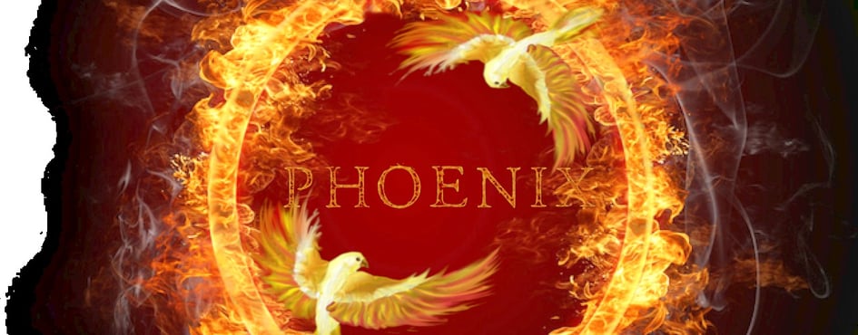 phoenix Discord Server Banner