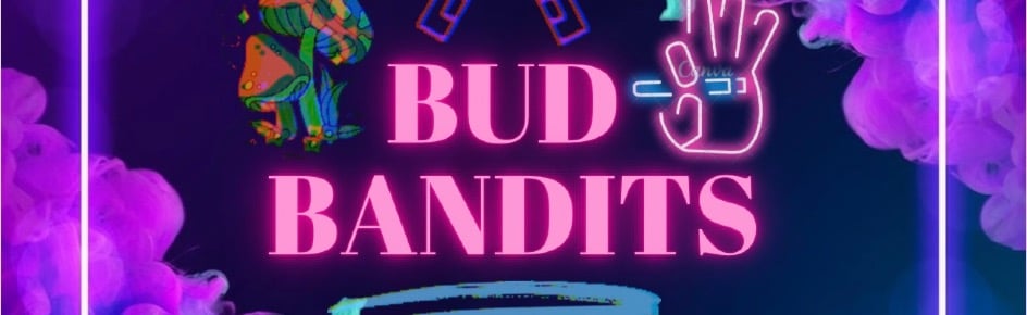 𝐁𝐮𝐝 𝐁𝐚𝐧𝐝𝐢𝐭𝐬/𝟏𝟖+ Discord Server Banner