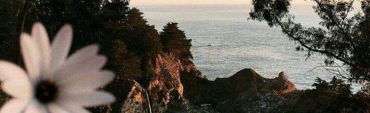 Bible study Discord Server Banner