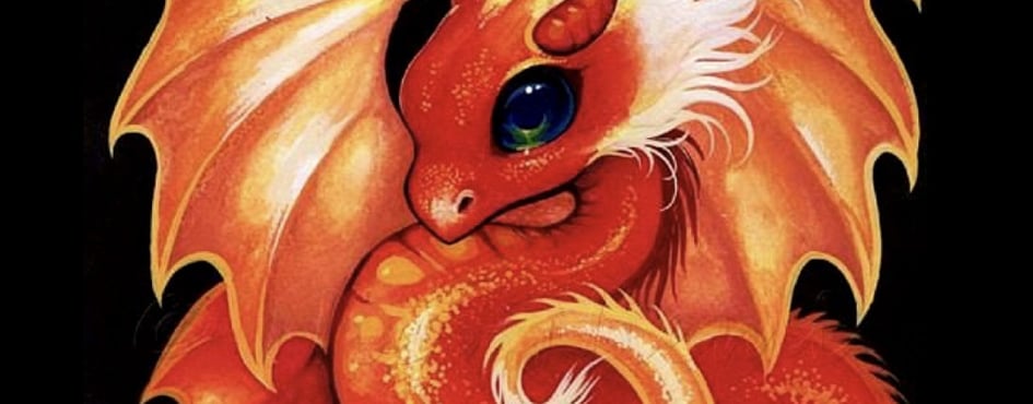 Phoenix Dragon Guild Discord Server Banner