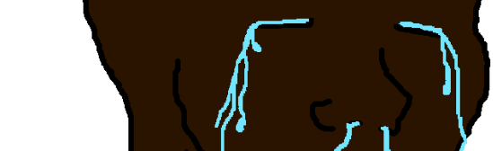 DONPOLLO Discord Server Banner