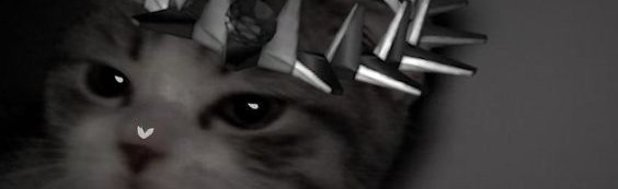 #peelingflesh Discord Server Banner