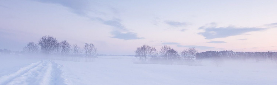 OtherAdvice Discord Server Banner