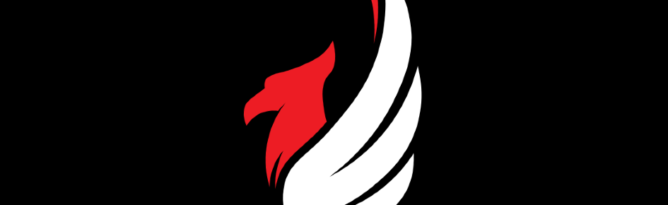 SAVTEK "ANKA" Discord Server Banner