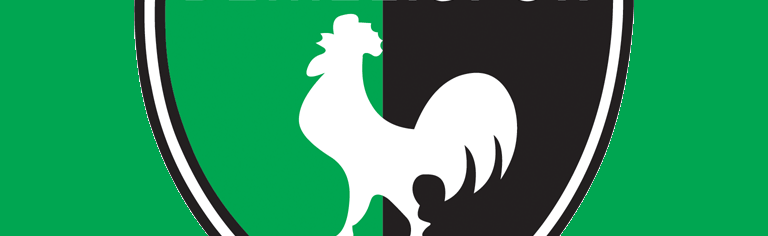 Denizlispor Discord Server Banner