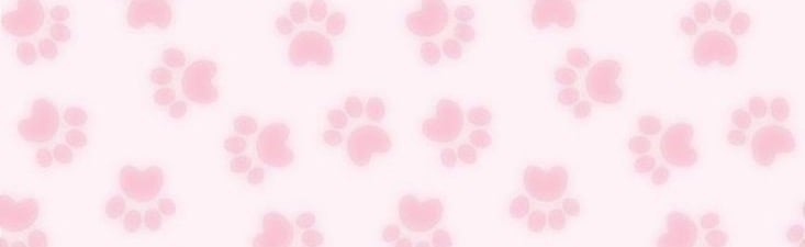 𝐄-𝐤𝐢𝐭𝐭𝐞𝐧𝐬 𝐩𝐚𝐫𝐚𝐝𝐢𝐬𝐞 Discord Server Banner