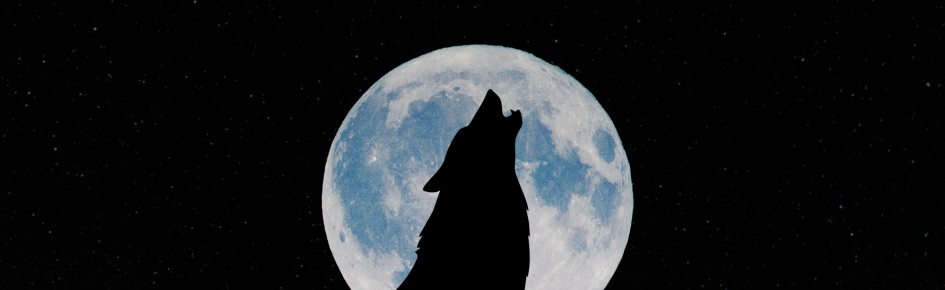 .me/atatv Discord Server Banner