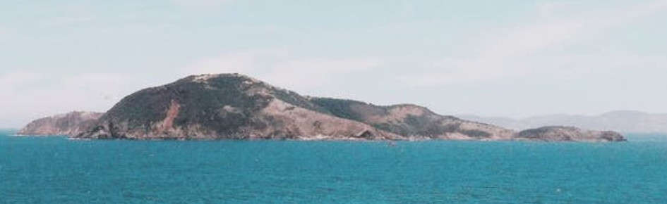 The 9 Memes of Yggdrasil II Discord Server Banner