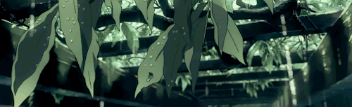 Moonshore ‧₊˚ ⋅ Discord Server Banner