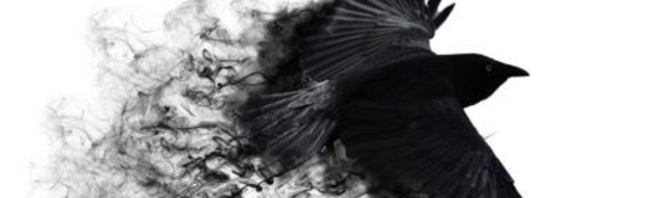 The crow gang Discord Server Banner