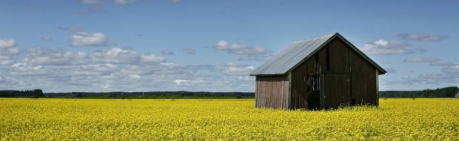 Mökki Discord Server Banner