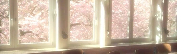 Rosen Oase Discord Server Banner