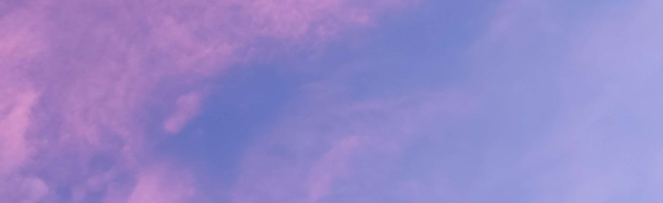 Cupid's Cove Discord Server Banner