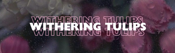 Withering Tulips Discord Server Banner