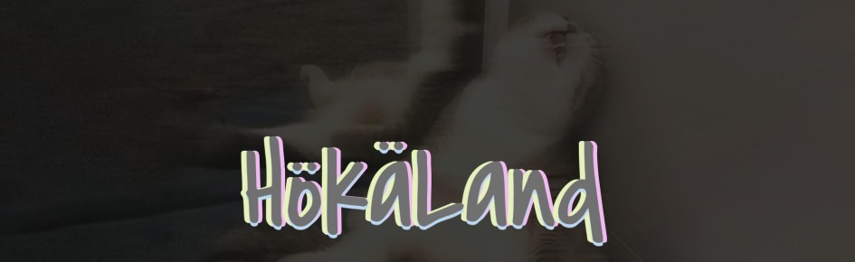 Hökäland Discord Server Banner