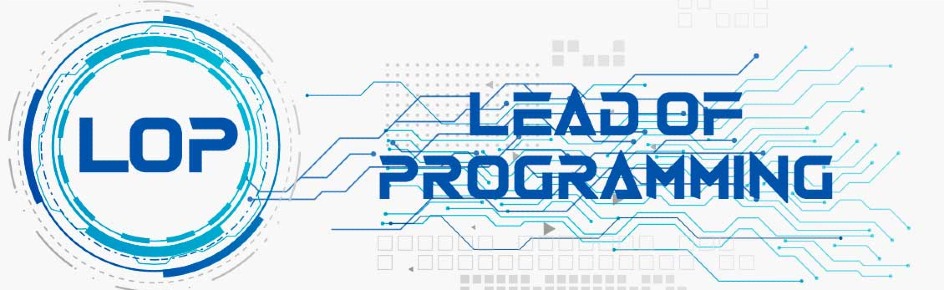 Lead of Programming Discord Server Banner