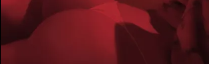 lily's nude palace Discord Server Banner