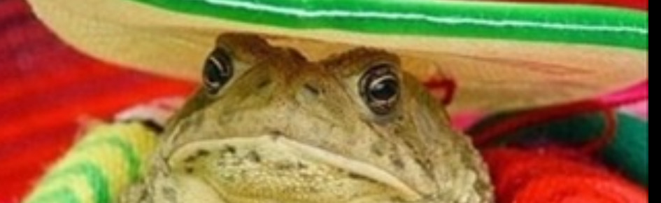 fatty memes Discord Server Banner