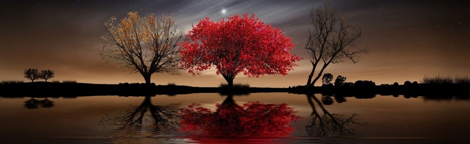 RED NIGHT Discord Server Banner