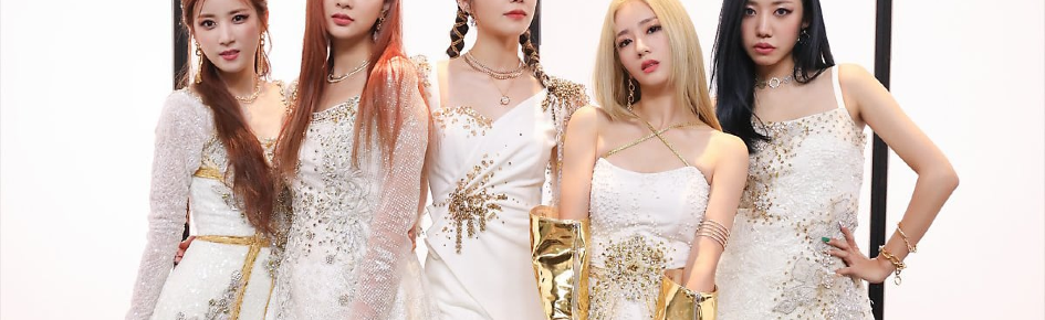 Pink Panda Discord Server Banner