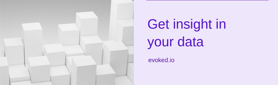 Evoke Insight Discord Server Banner