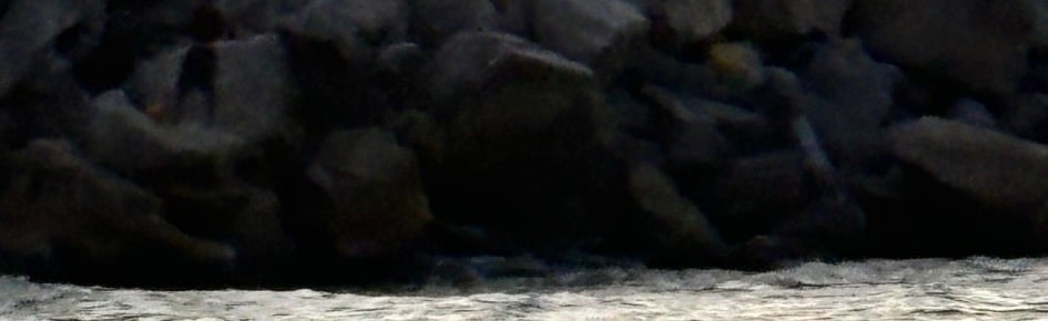 Friends Discord Server Banner