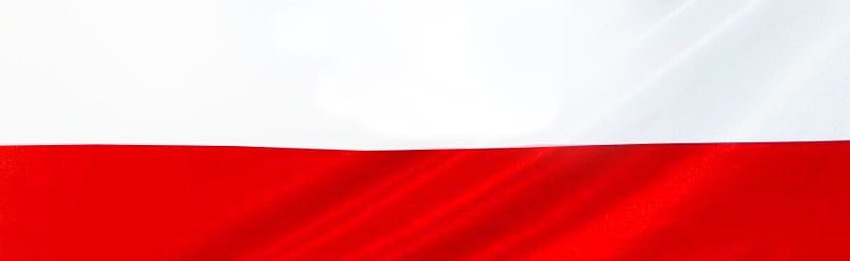 PLMG Discord Server Banner