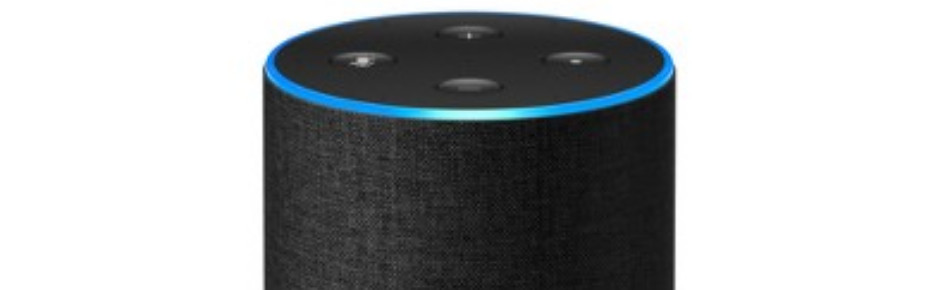 The Bloxed Gang Discord Server Banner