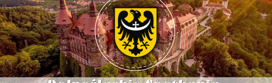 Dolnośląskie Spotkania Discord Server Banner