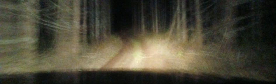 ⋆⁺₊⋆ 𝐯𝐢𝐥𝐞 𝐫𝐮𝐢𝐧 Discord Server Banner