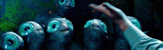 Pre server: The Waiting Room! Discord Server Banner