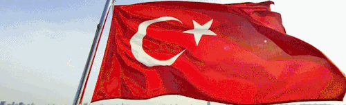 TrPMF Discord Server Banner