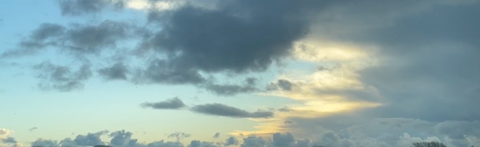 Terrestrial Conclave Discord Server Banner