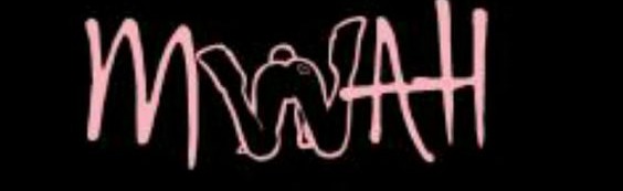 ✧˚⭑𝒕𝒉𝒆 𝒔𝒕𝒓𝒊𝒑 𝒄𝒍𝒖𝒃 Discord Server Banner