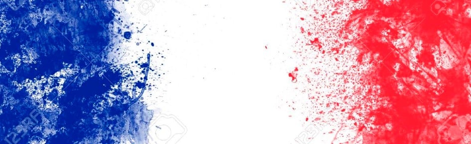 Gaulois - Pixel France Discord Server Banner