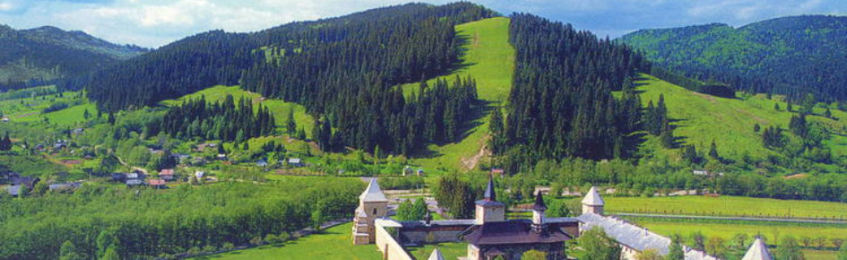 La Brouette Moldave Discord Server Banner