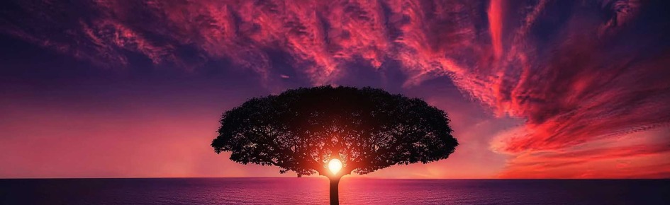 RisknRewards Discord Server Banner