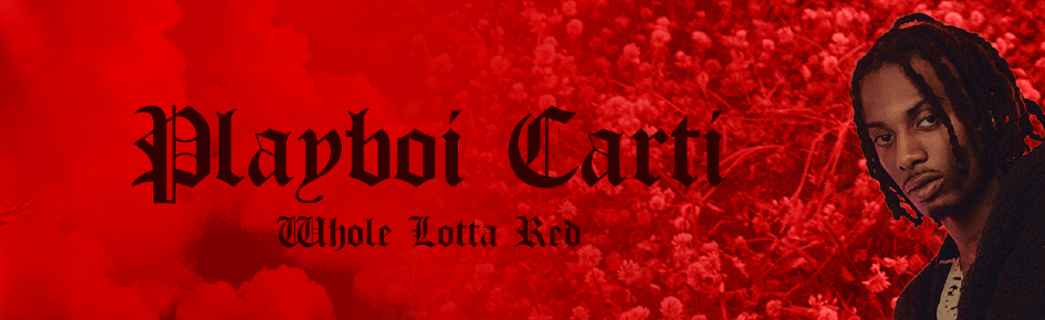 script kiddies Discord Server Banner