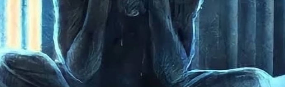 Cat arch Discord Server Banner