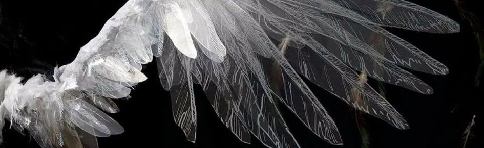 Realm Discord Server Banner